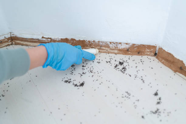 Best Pest Control Cost  in , WY