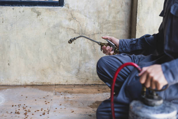 Best Wasp Removal Services  in , WY